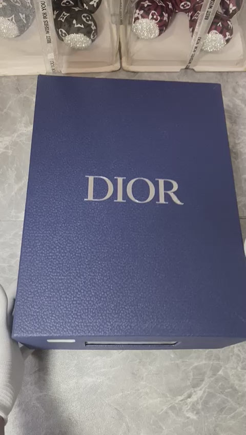 DIOR B30 BalckWhite